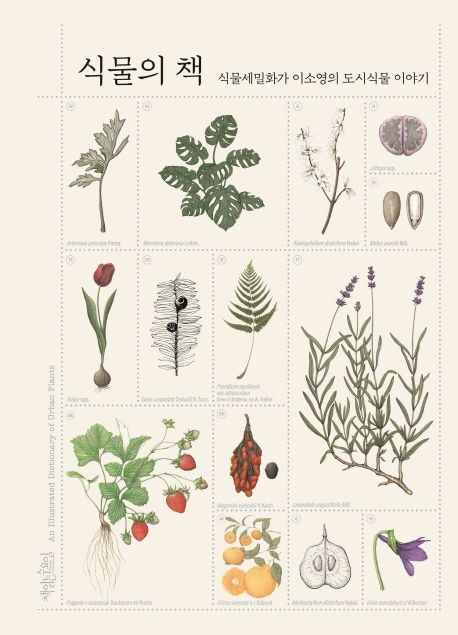 식물의 책 식물세밀화가 이소영의 도시식물 이야기
