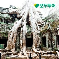 [모두의여행] 캄보디아 앙코르유적지 5 6일 실속패키지 시내 핵심투어 & 현지특식 제공