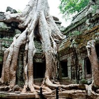 캄보디아 5일 6일 패키지 앙코르 유적지 핵심투어 포함 트릭아트박물관+민속촌 관광 등