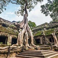 [캄보디아] 청주출발 3박5일 패키지 얼리버드 선착순할인 앙코르왓 유적지+반나절 자유일정