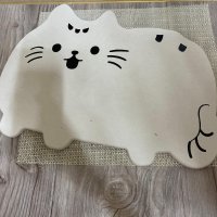 review of 슬로코스터 CAT FOOT MAT 발매트 고양이