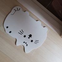 review of 슬로코스터 CAT FOOT MAT 발매트 고양이