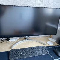 review of LG 울트라기어 34인치 게이밍 모니터 34GK950F