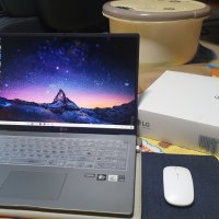 review of LG전자 그램17 17Z90P-OA7FK