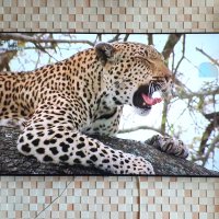 review of 삼성 Crystal UHD TV KU75UB8000FXKR 189cm 75인치