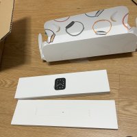 review of GI Apple 워치 SE GPS 44mm (실버 알루미늄)