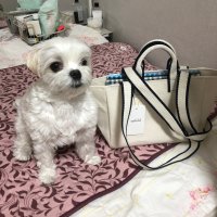 review of [언폴드] Seersucker Padded Bag (white) 86