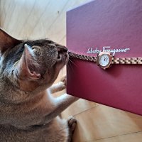 review of [FERRAGAMO] 페라가모 베가 남성 콤비 메탈밴드시계 SFYM00520