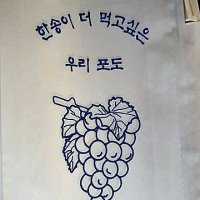 review of 과수 봉지 핀부착 사과봉지 100장 봉투 과일 과수