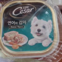 review of 맛선 양고기 연어 습식사료 중소형견용 작은알갱이  100g  25개입