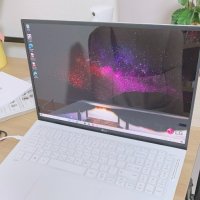 review of LG전자 그램16 16Z90P-G.AA50K