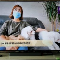 review of 삼성전자 삼성 2020 LED Crystal UHD 4K UT7050 189cm (KU75UT7050FXKR)