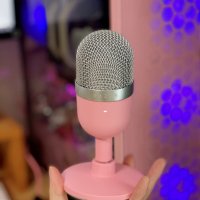 review of RAZER Seiren Mini