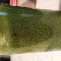 review of NutriBullet 뉴트리불렛 블렌더 64온스 피처