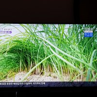 review of 삼성전자 43인치TV LED UHD 4K 비즈니스TV LH43BEAHLGFXKR 유튜브