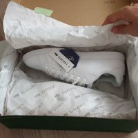 review of LACOSTE 그레쥬에이트 TRI 1 739SFA0050407