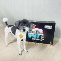 review of 적용레고10279VolkswagenT2캠프크리에이티브변화하는 - UnKnown