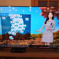 review of 50인치 UHD TV LG 삼성 대기업패널 중소기업TV LED