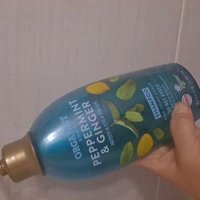 review of 오가니스트 빙하수 쿨링 샴푸 1100ml