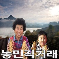 review of 금산인삼 6년근 파삼 난발삼 파지삼 파지인삼 고려 9호