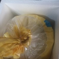 review of 백김치 3kg 어린이집 유치원 물김치 가정용 빛 먹보야