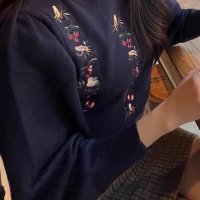 review of 루시르주 Princess line blouse