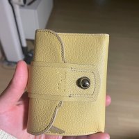 review of [텐텐단독] shell card holder 지갑