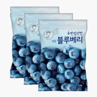 review of 웰팜 냉동 블루베리 1.5kg x 1개  아이스박스포장