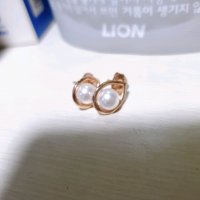 review of 로즈몽 [로즈몽(주얼리)] SILVER 귀걸이 RC0043