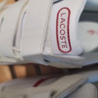 review of LACOSTE 키즈 신발 운동화 T-CLIP 7-45SUC0017