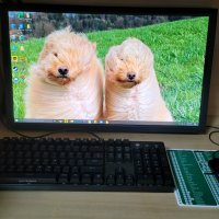 review of 비트엠 NEWSYNC B245H 프리싱크 HDR