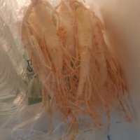 review of 못난이 인삼 세척파삼 파삼 5년근 6년근 1kg 2kg 세척인삼가정용 수삼 난발삼