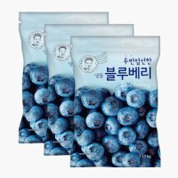 review of 웰팜 냉동 블루베리 1.5kg x 1개  아이스보냉백포장