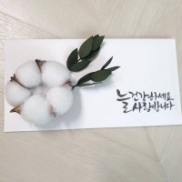 review of [캘리플로라] 어버이날 프리저브드 카네이션 용돈봉투