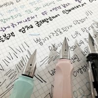 review of 독일 라미 사파리 캔디 만년필 망고 EF 촉 LAMY