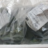 review of 아침에떡 모시개떡 500gx4 2kg 총 40개입