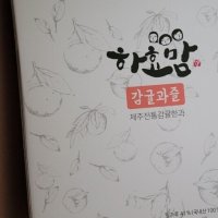 review of 은가비 제주 감귤과즐 10개입 1봉