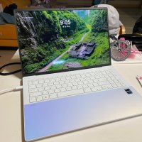 review of LG전자 LG 노트북 16Z90RS-GA50K