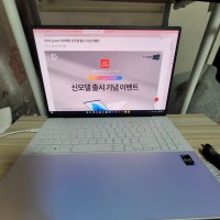 review of LG전자 그램 스타일16 16Z90RS-GA50K (SSD 1TB + SSD 1TB)