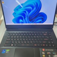 review of MSI Vector GP66 12UH-i7 노트북 (NVMe 512GB 추가)