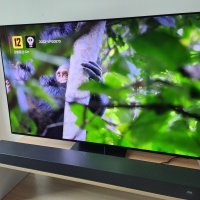 review of LG 올레드 TV 55인치 OLED55A2KNA 벽걸이