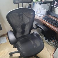 review of Herman Miller Aeron 허먼밀러 에어론 헤드레스트 목받침대 서스펜션 호환