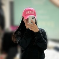 review of 더센토르 CENTAUR ROSE 05 BALL CAP BLACK