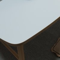 review of 거실 소파 테이블 Flat Coffee Table 낮은 카페테이블