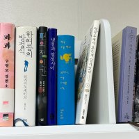 review of 바보사랑 레드파인 원목 1단 3칸 책장