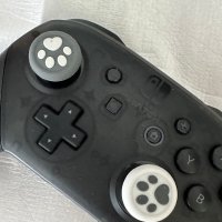 review of 8Bitdo 얼티밋 블루투스 컨트롤러 충전 독