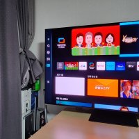 review of LG전자 2022 올레드 4K 138cm (OLED55A2ENA)