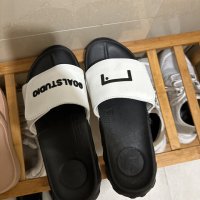 review of GOALSTUDIO GRAB-ITY BALANCE PRO SLIDE-WH GN