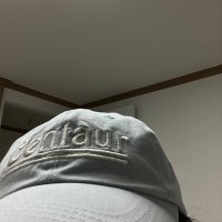 review of 더센토르 CENTAUR ROSE 05 BALL CAP WHITE