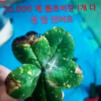 review of 오뚜기 가정간편식 뼈없는순살삼계탕 간편식사 간편한아침식사 500G 1개  15세트